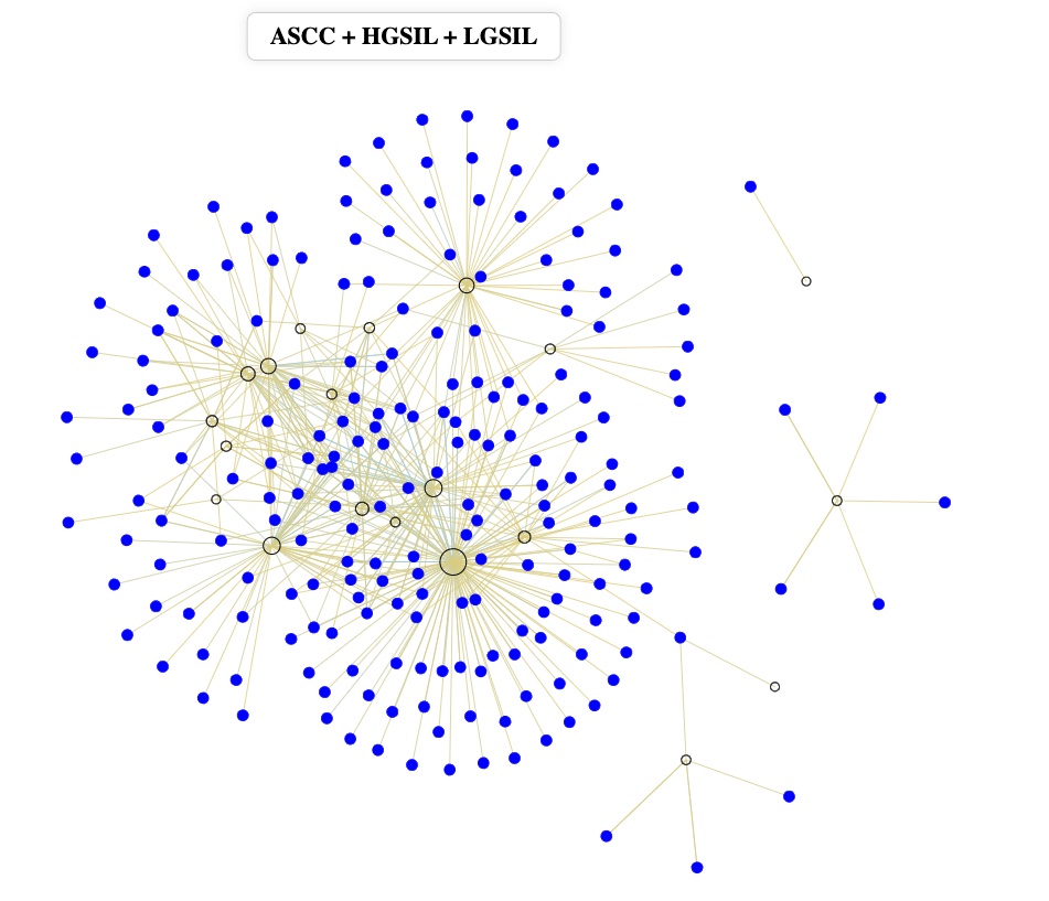 Network preview