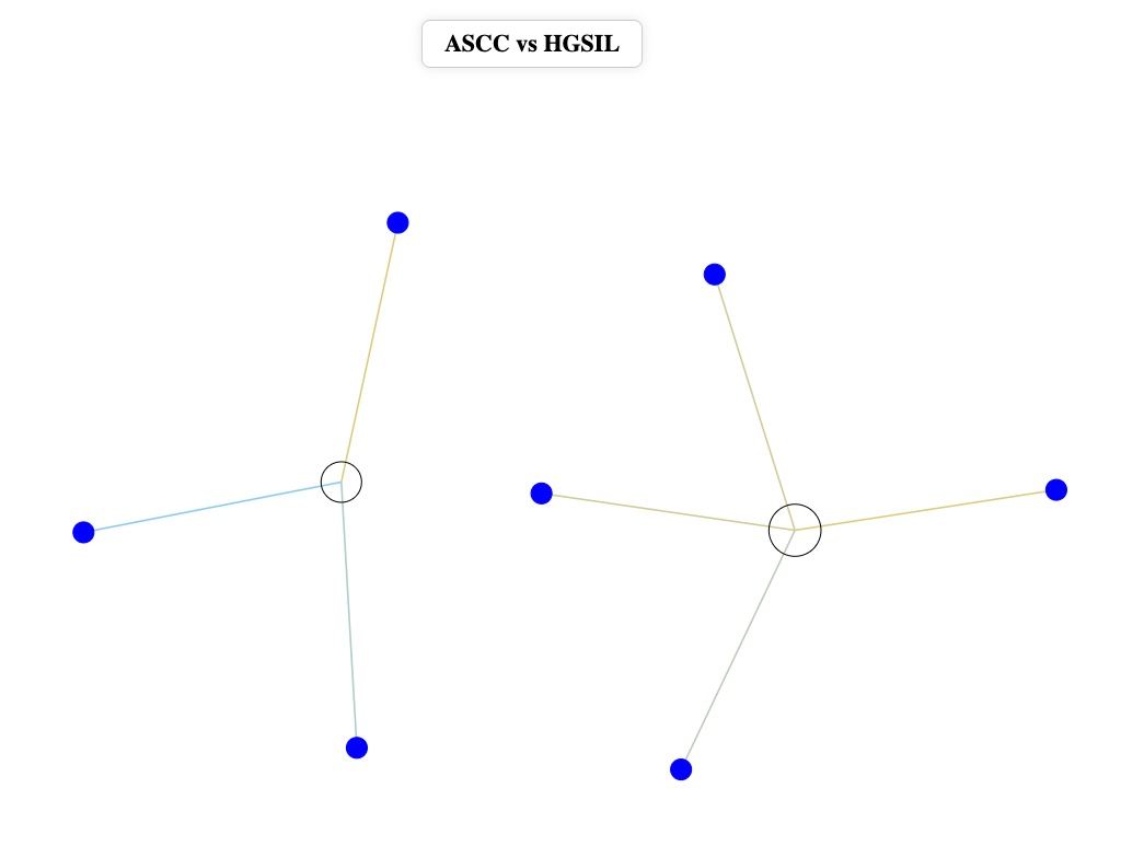 Network preview