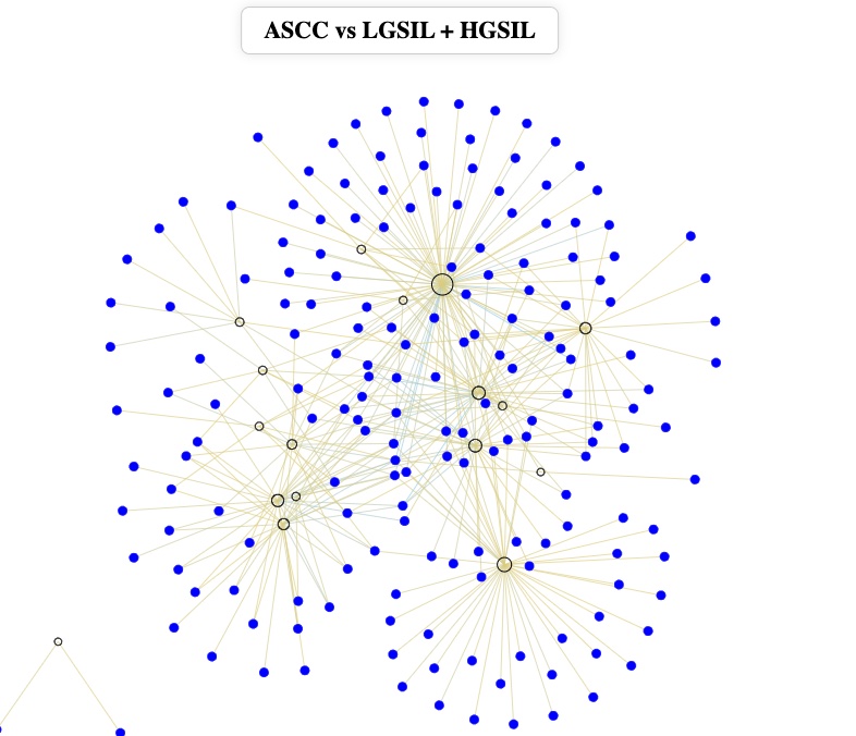 Network preview