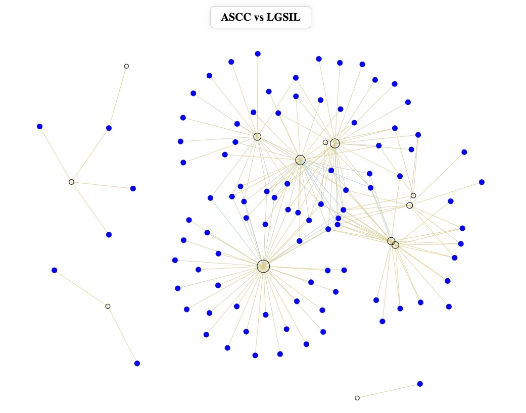 Network preview